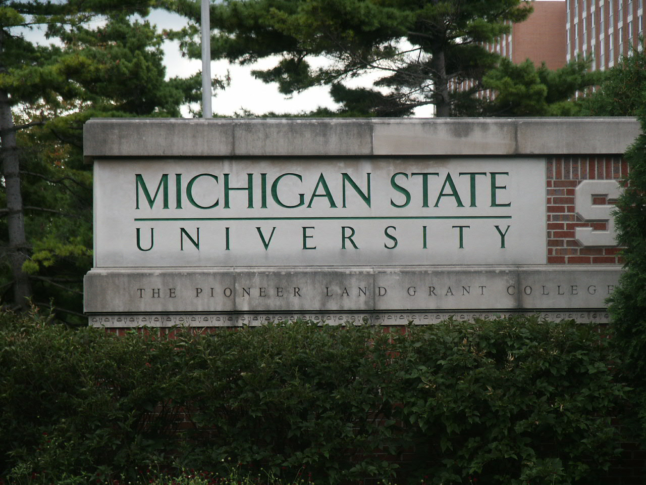 Michigan State University Sign