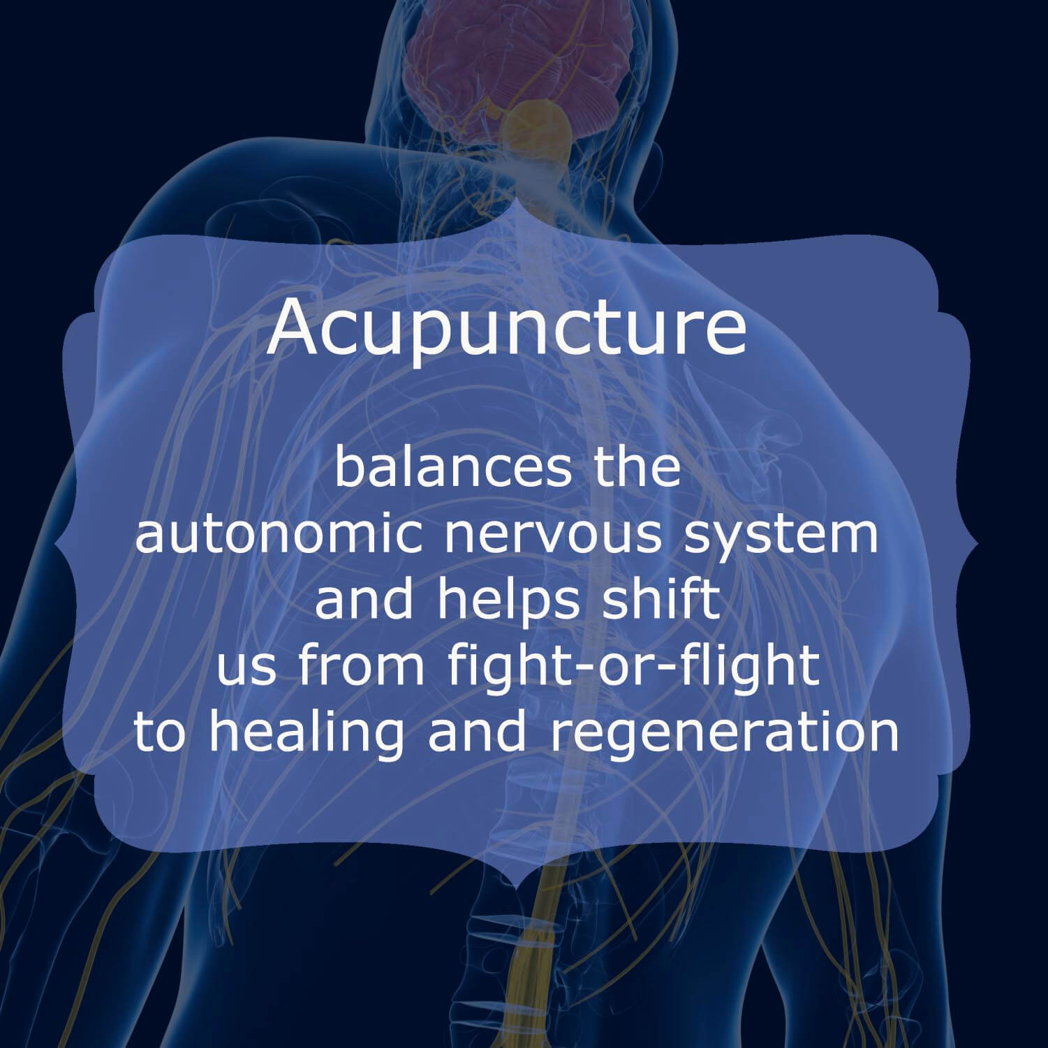 Acupuncture from a Western perspective